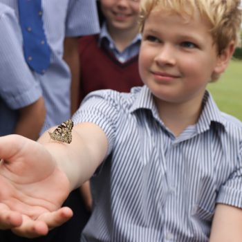 Boy with a butterfly on his arm