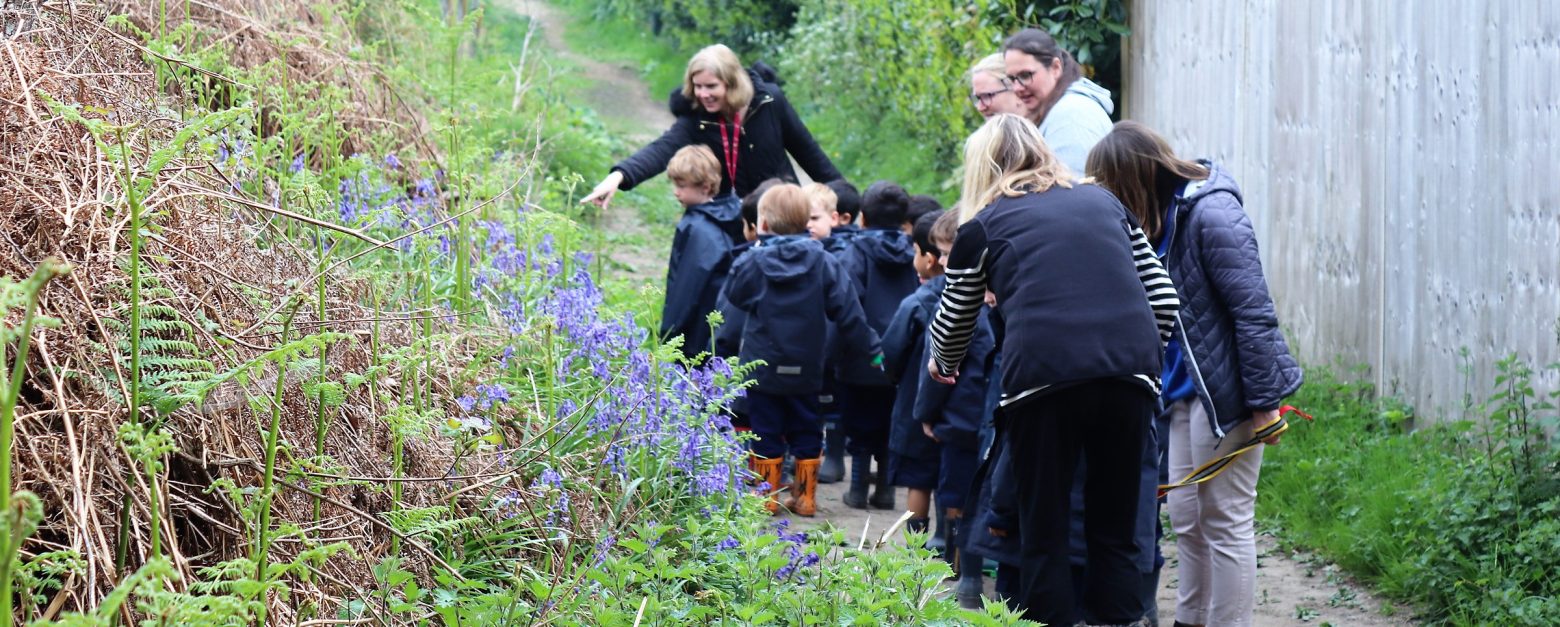 students looking at bluebells